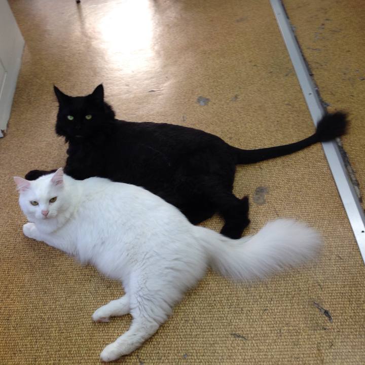 08a00d86 0dc8 4d04 9978 27382af68aa9