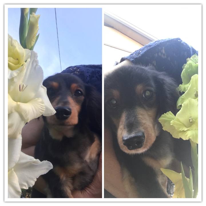 08a08343 cb1e 49c9 ba61 4cbd1b298399