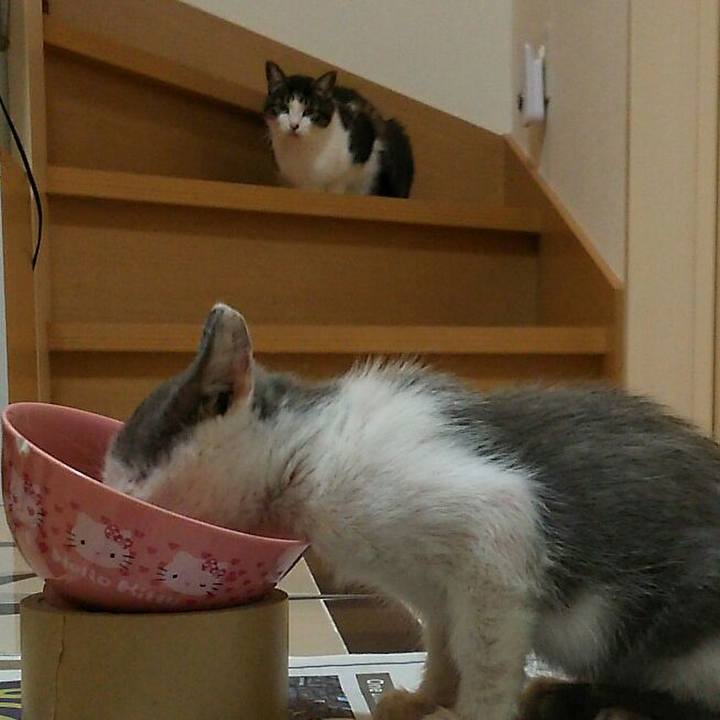 08a0c6f9 9dfd 486b a9cd 5f9893d252e7