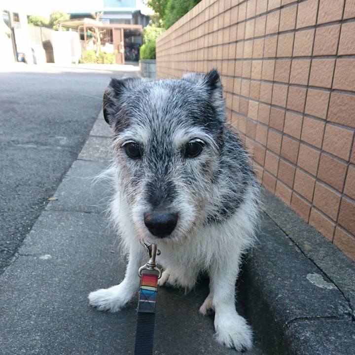 08a169a0 27ee 433e 9186 8412f794f52a