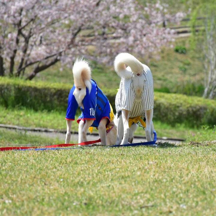 08a1c285 c886 41bc 88c0 c452a817074b