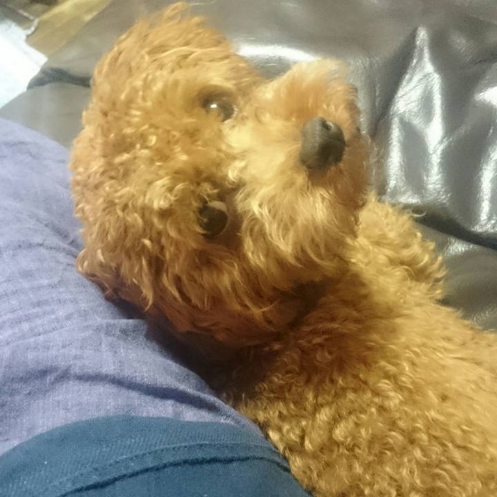 08a239a2 d7b4 478c 9897 4bcd8fe1b71c