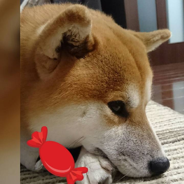 08a2488e 9940 4108 86c1 0c2d74154e44