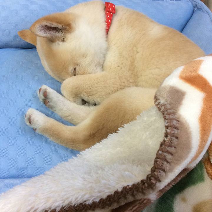 08a30350 2955 4cc4 941f abf62df180b9