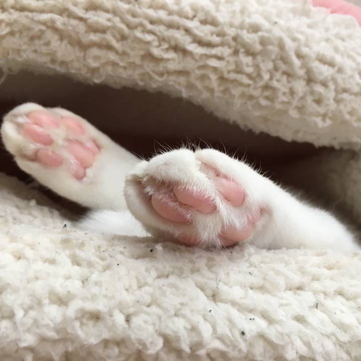 08a39e34 3e7c 497b ab5b 6a7892db04f9