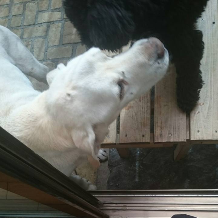 08a40f72 2b12 4c55 b899 143886fbda66