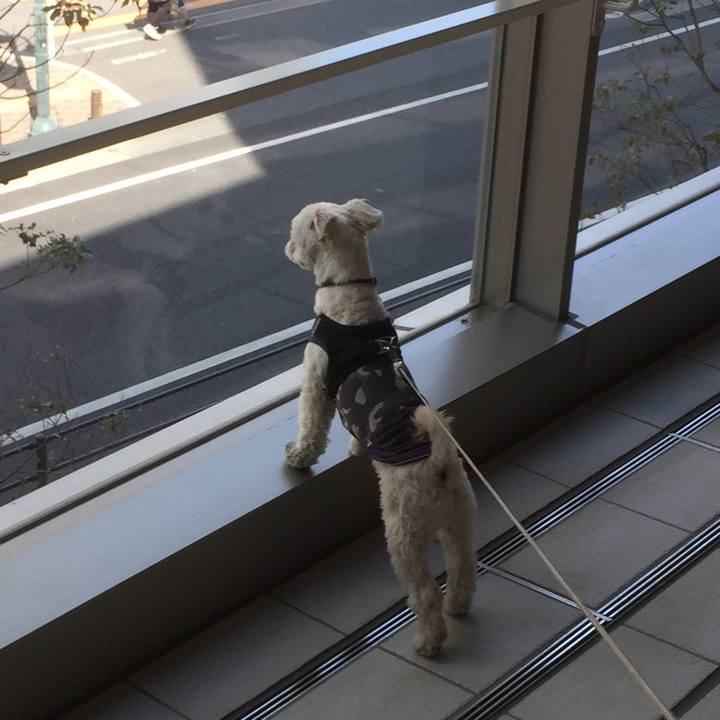 08a563f5 1b7b 4d82 a841 2500ac1ad1d8