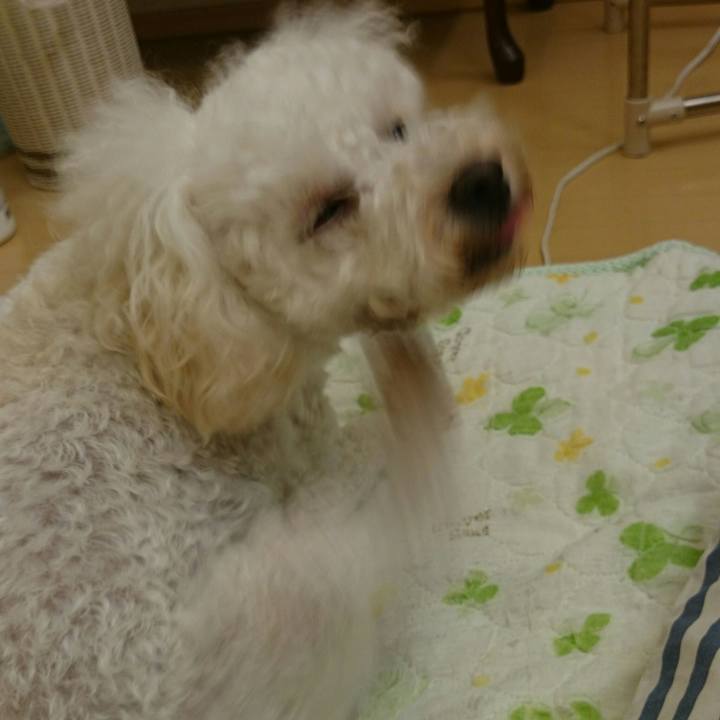 08a565f8 4a7b 4a3d 83ea 9e6ef92638a4