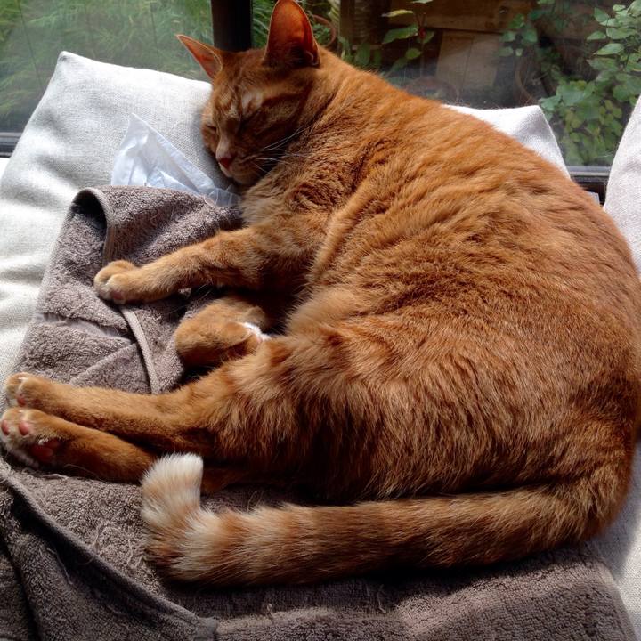 08a5ba2c a78e 40d2 934c a54fc6cd7381