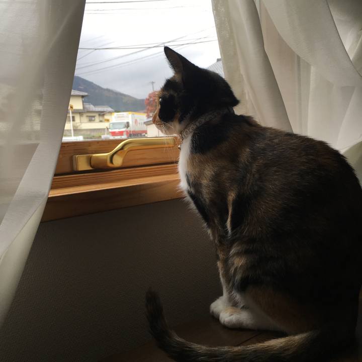 08a65f67 c62e 4312 bfe5 53629fd4ac5e