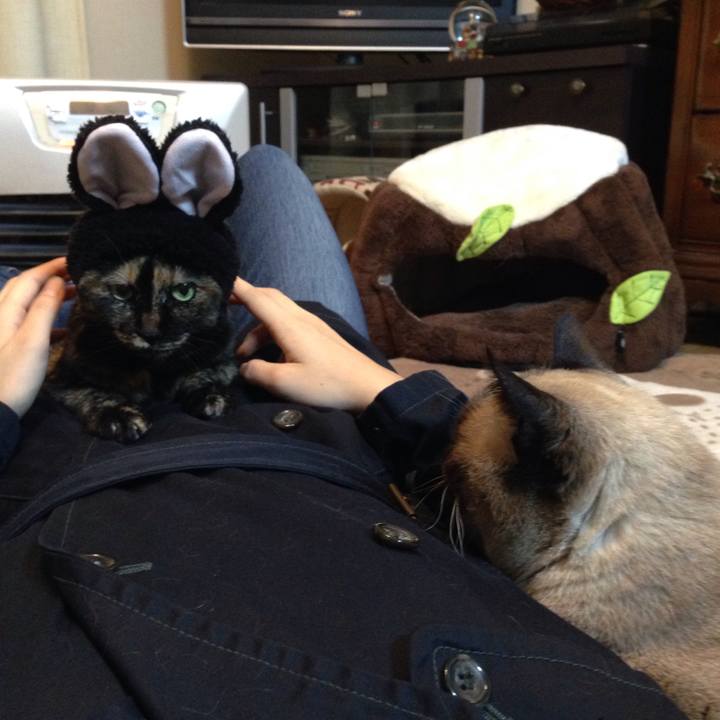 08a743e2 1583 44f9 a4c5 d6d3779c66e8