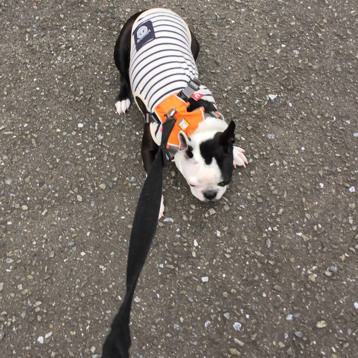 08a75828 18b9 40ac a9a2 e30b22d72dcf