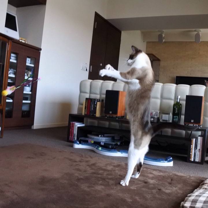 08a7c139 1a50 465c b018 c00c7500a37c