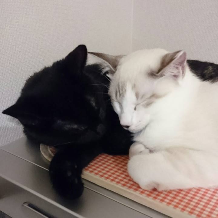 08a92c33 1084 4fa3 aeee 574f6130855f