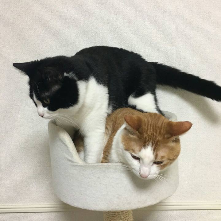 08a98832 f4fa 45c6 9456 ca2fdc5bc7fa