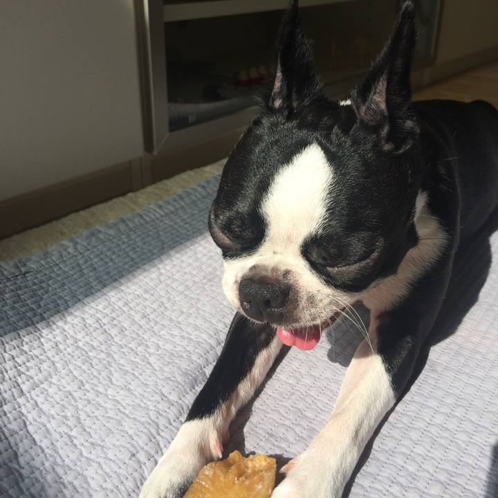 08aa1f18 3bcd 485e 93eb be864c2abd3f