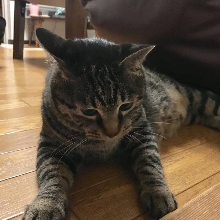 08aa3235 e460 4384 b530 57981bc5da32