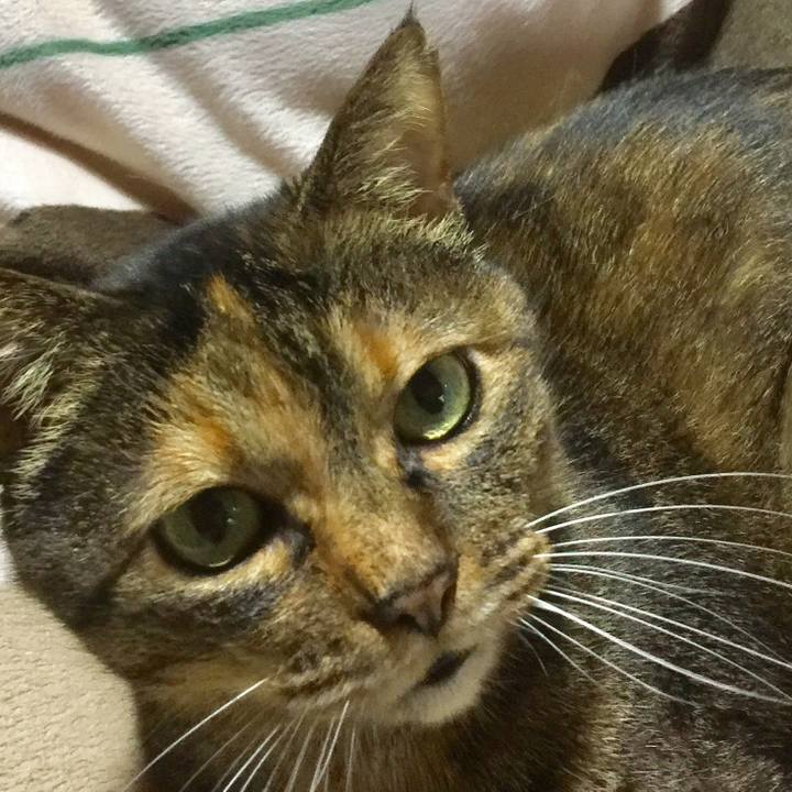 08aade39 c242 4850 9fb3 66bae94cf20c