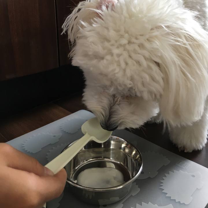 08ab42ed 7d56 4b7b 93ef 6d48e453a5a9