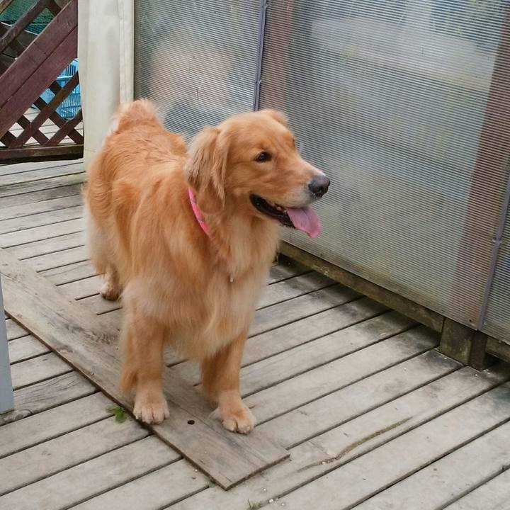 08ac393b ed5d 4dd6 9ae1 df2efb9af48f