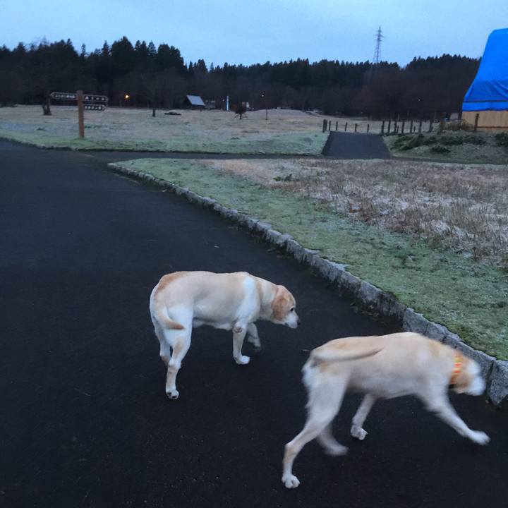 08aca515 b349 4987 806f 8cf3e4f037f4