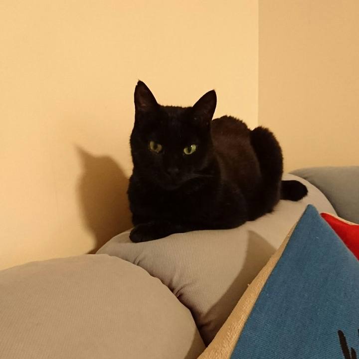 08acc859 2ba3 4693 9ee5 851580dbe796