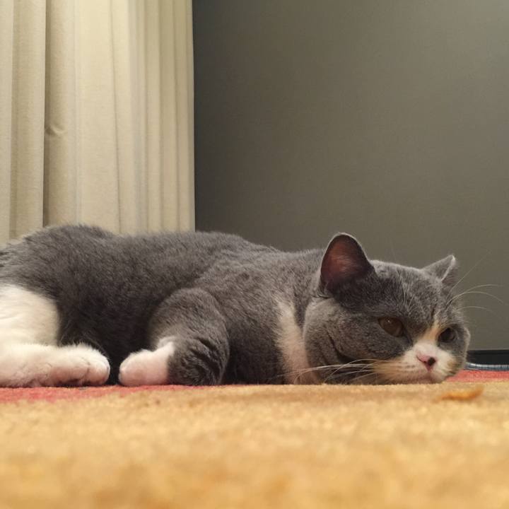 08acf759 7f90 4249 bdd1 2be96a4d0123