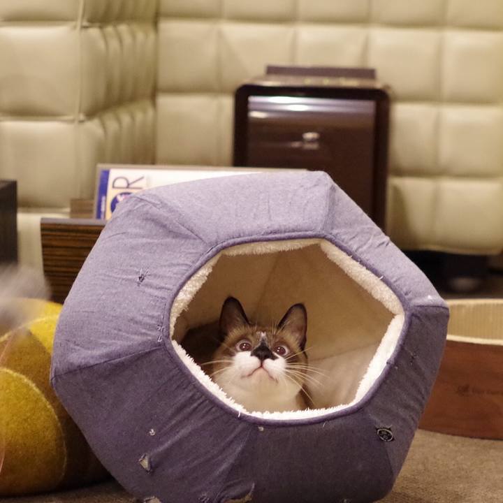 08add6ee 27d2 4fb6 8733 0719f129809f