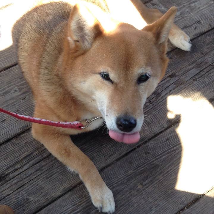 08ae5201 2b09 48c0 b880 a25b0b9f6682