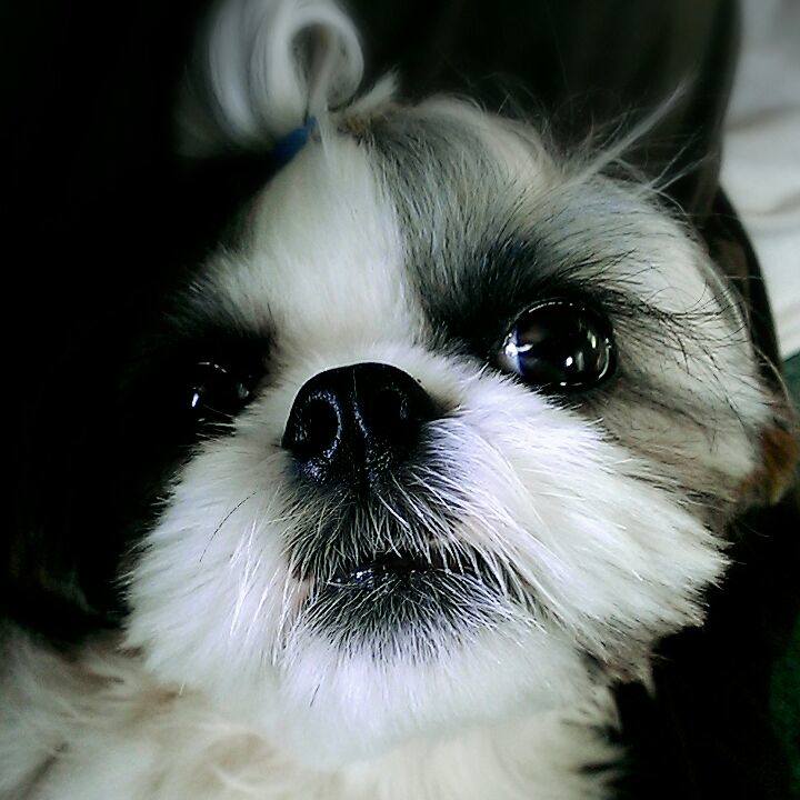 08af2c7b 45f4 4462 a13b 70556fe016bd