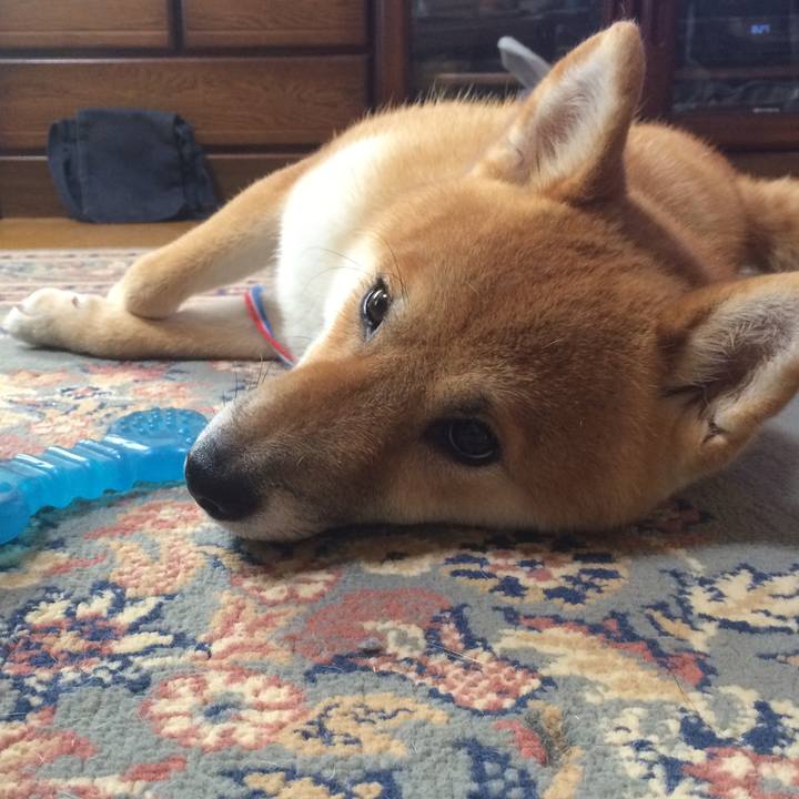 08b0151a bb42 4c6c 8676 2e3d670946bf