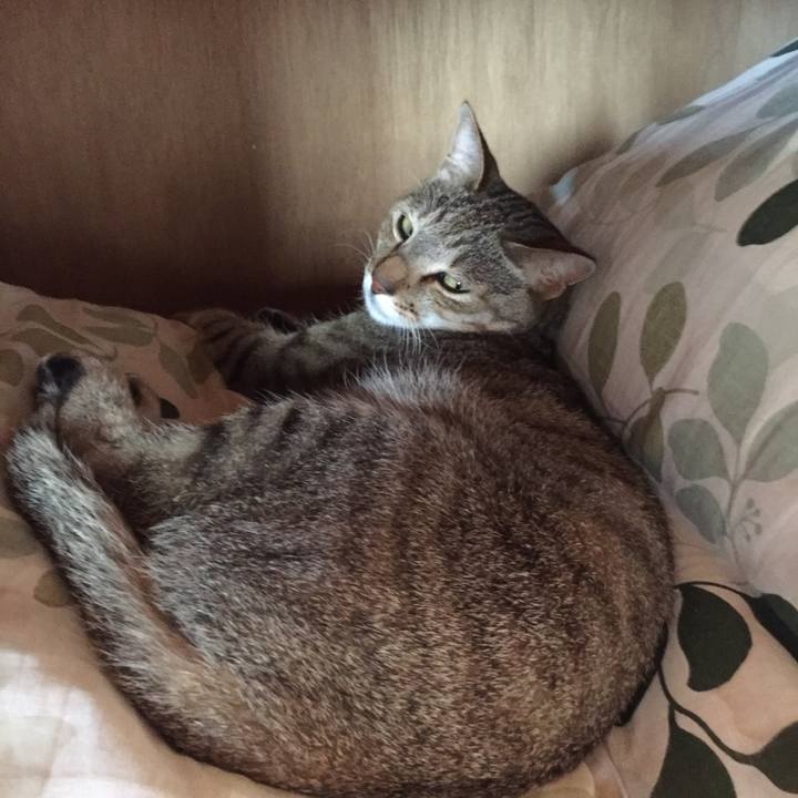 08b04318 0a6f 418e 998a 376548e58c26