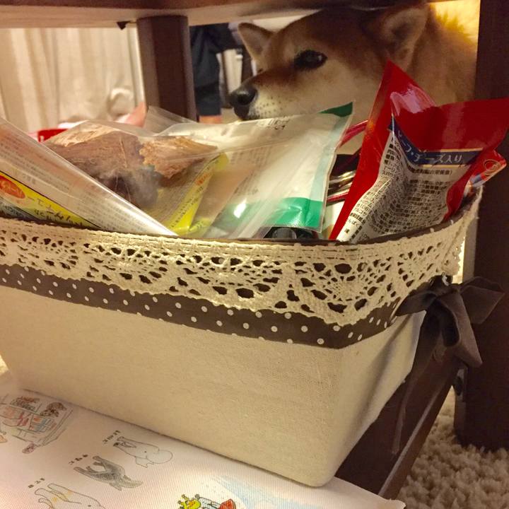 08b08fd7 76ec 42c0 be45 615884bb49ed