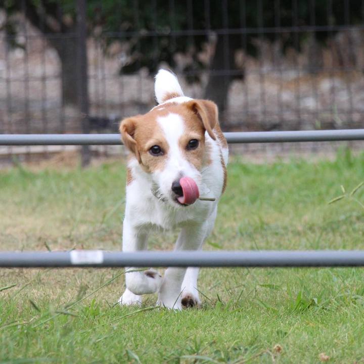 08b0a148 0b27 4088 b905 30b0624c37cc