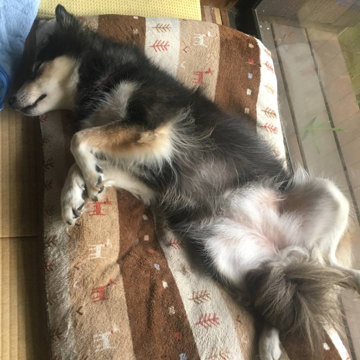 08b0f438 04af 4bd4 a458 75ddef68bb16