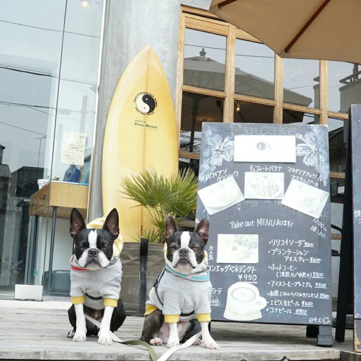 08b11af7 7d88 4a62 bbb5 1d66ca0228ee