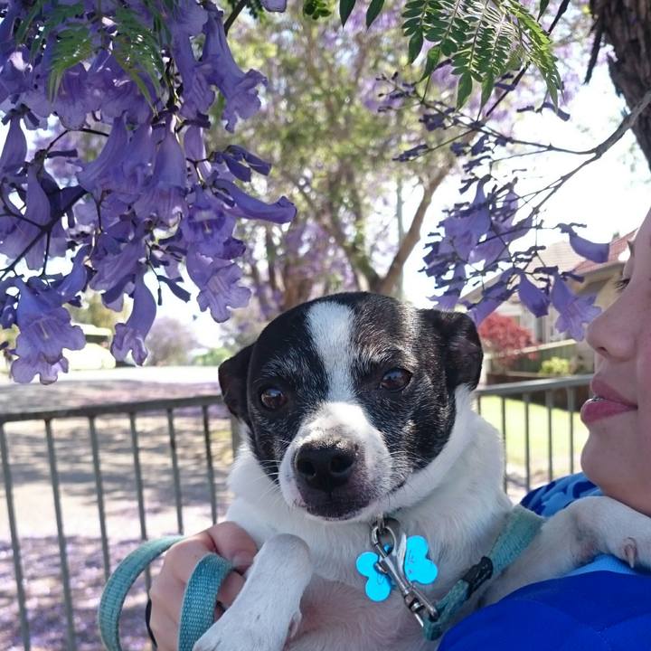 08b12cb1 2140 45bd 822c 0b16a2d1652a