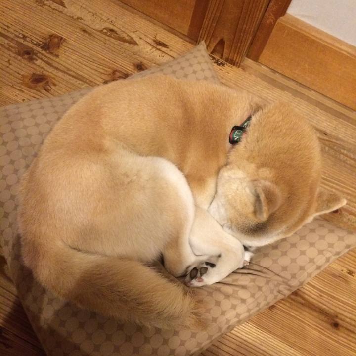 08b27dcf 25bb 4701 bc47 40860408f19e