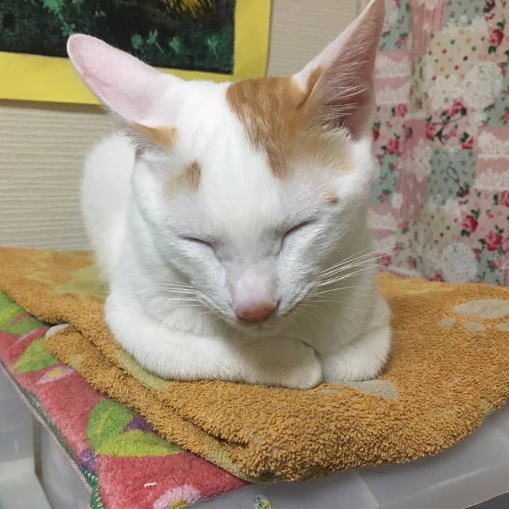 08b29411 707f 4460 b429 d4671581d2ce