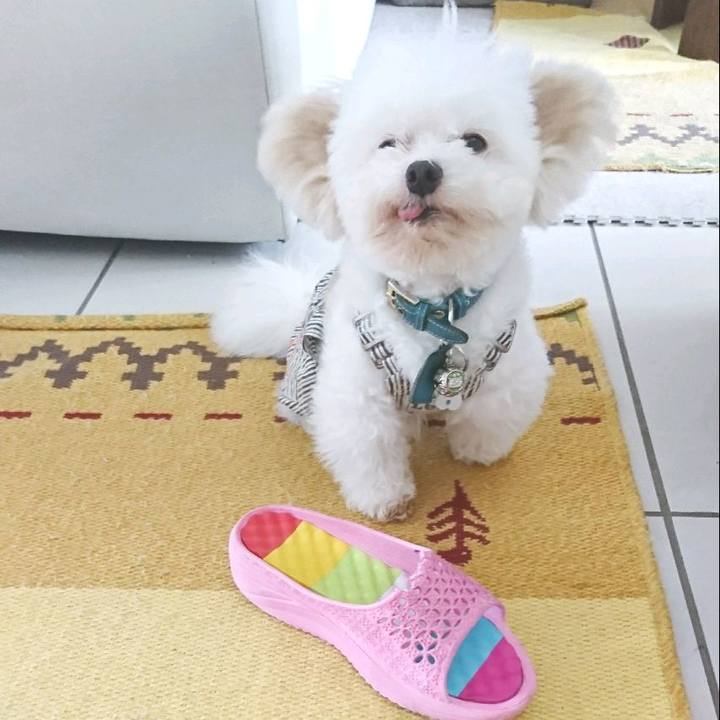 08b2e9cb ab5f 4cfa a40d 80aa67b9cf0b