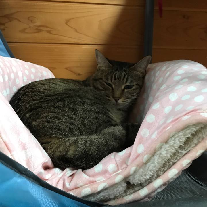 08b30e6d 3b2d 45cb 81d1 a9ad5ef1a6f0