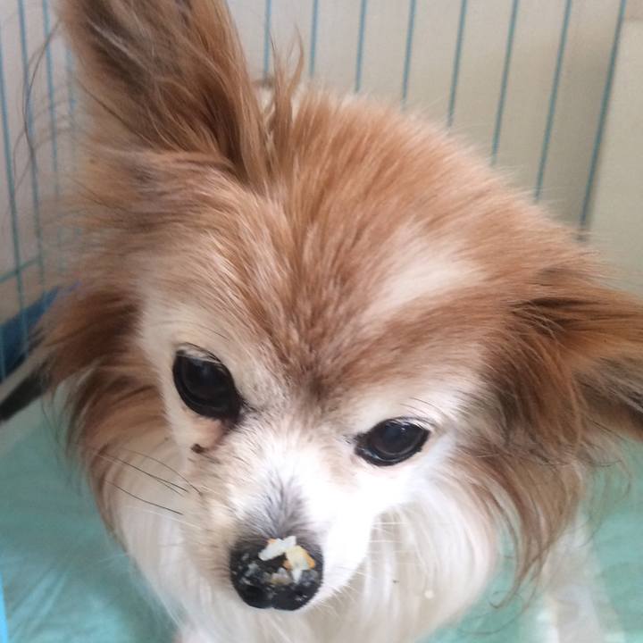 08b340ec a04b 42fb 8864 d3c17097ccaa