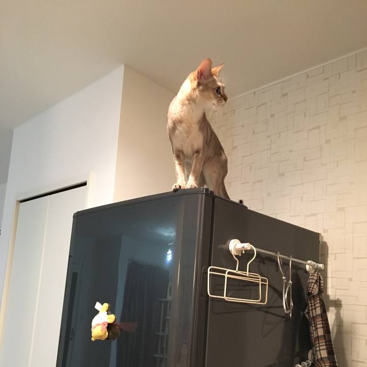 08b3dfab e660 4d43 8e87 377aa56a0979