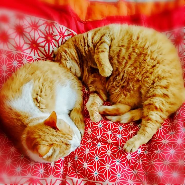 08b404b7 08c5 4103 a7b9 a608f5e1c324