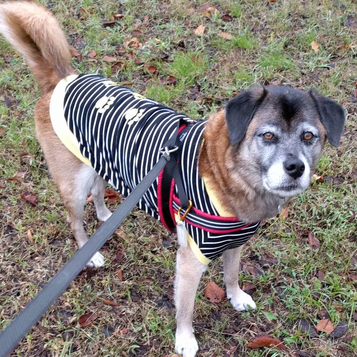 08b446ff 4b13 417a a4d1 33edd1167e36