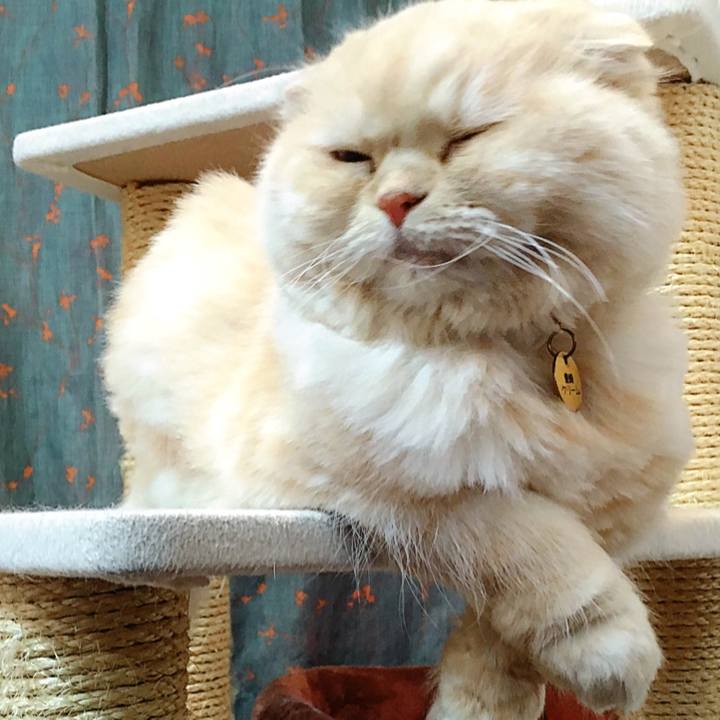 08b4668d 4027 4d06 9200 afc175f974d1