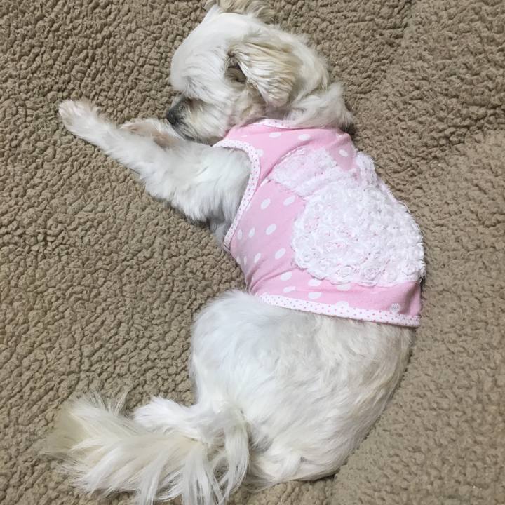 08b4a8b1 1479 4e6c 8f6d cff67e2ebf11