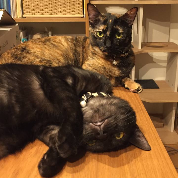 08b4d362 cc57 49ff 9d65 9537603b7ec4