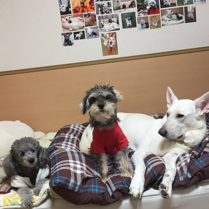 08b56baf 2db3 42eb 93db 5cc19d683234