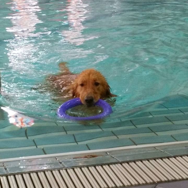 08b5f78f 754d 4105 ad90 bb5efccd6921